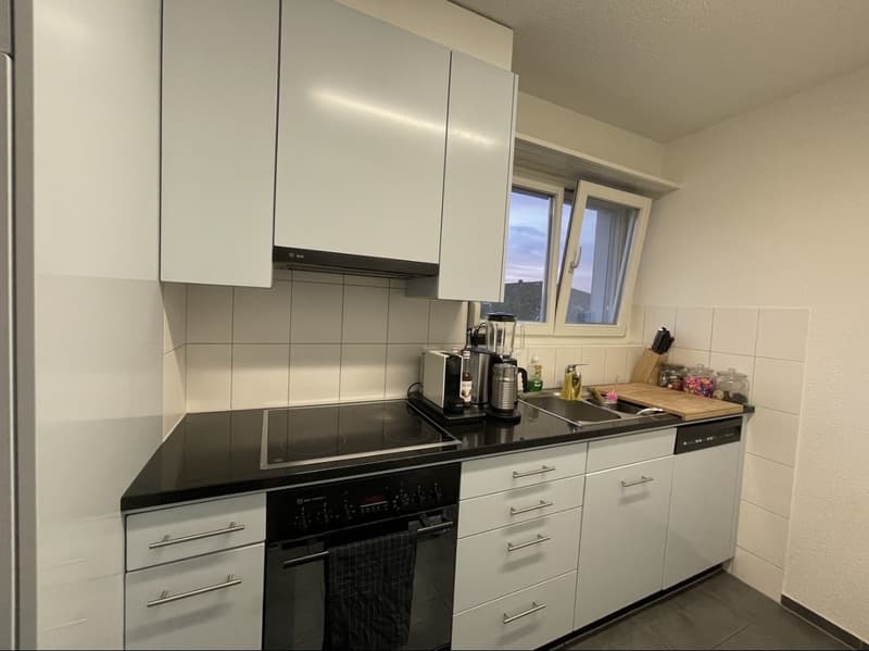 Parquet flooring, Tumbler, Washing machine, Cable, Dishwasher, Lift, Balcony/Garden (6)