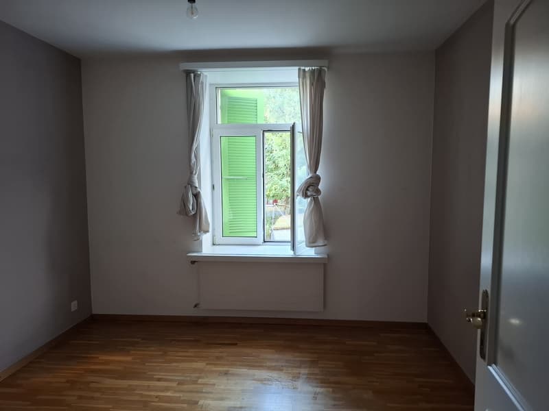 Partially-Furnished Room in a 2-person WG in Kreis 3| 1st September to end of October | CHF 700/month (3)