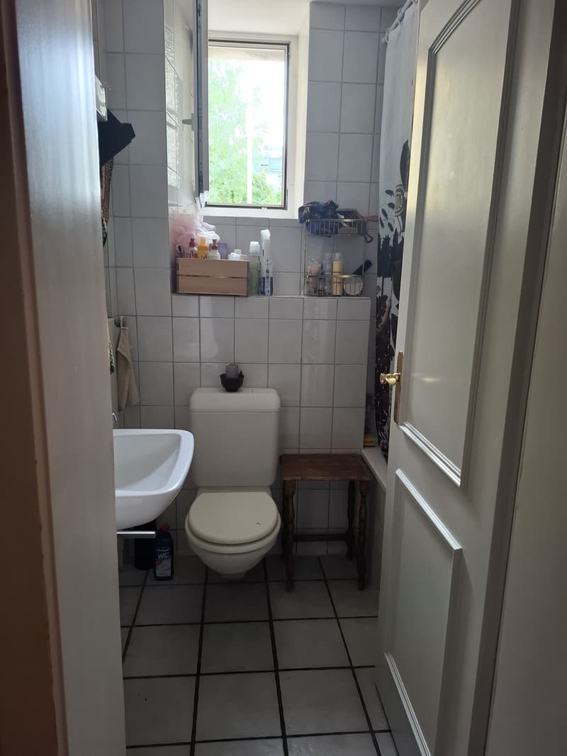Partially-Furnished Room in a 2-person WG in Kreis 3| 1st September to end of October | CHF 700/month (2)