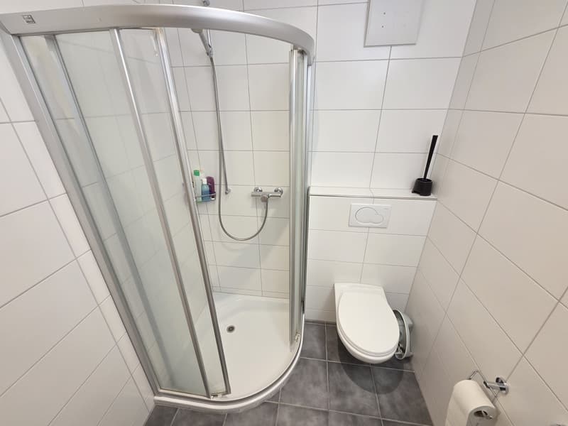 Gemütliche 4.5 Zimmer Wohnung in Hausen (8)
