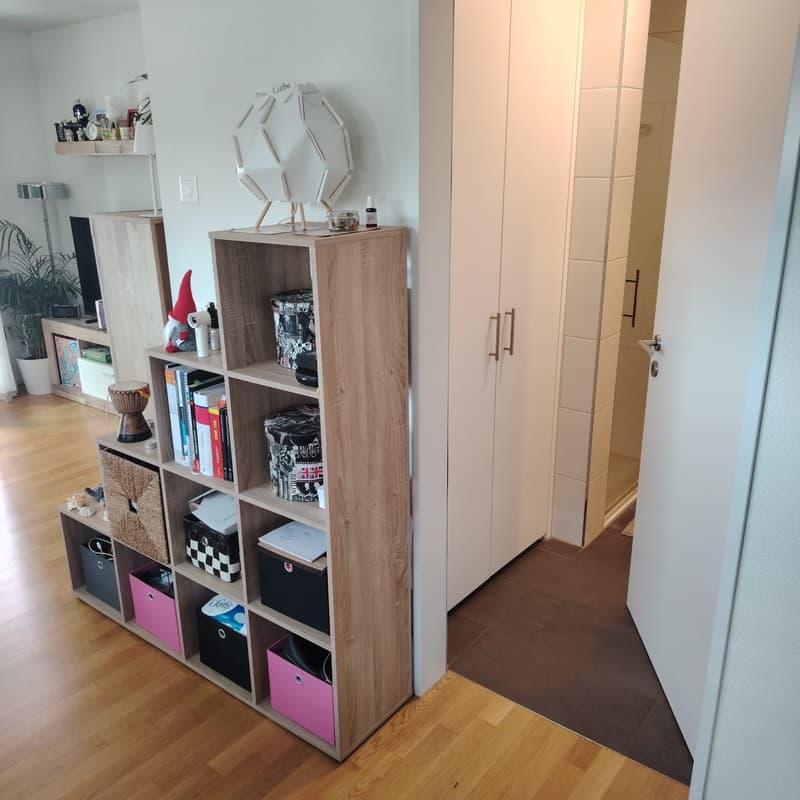 Helle moderne 2.5-Zimmer-Wohnung mit Balkon in Zürich-Oerlikon (9)