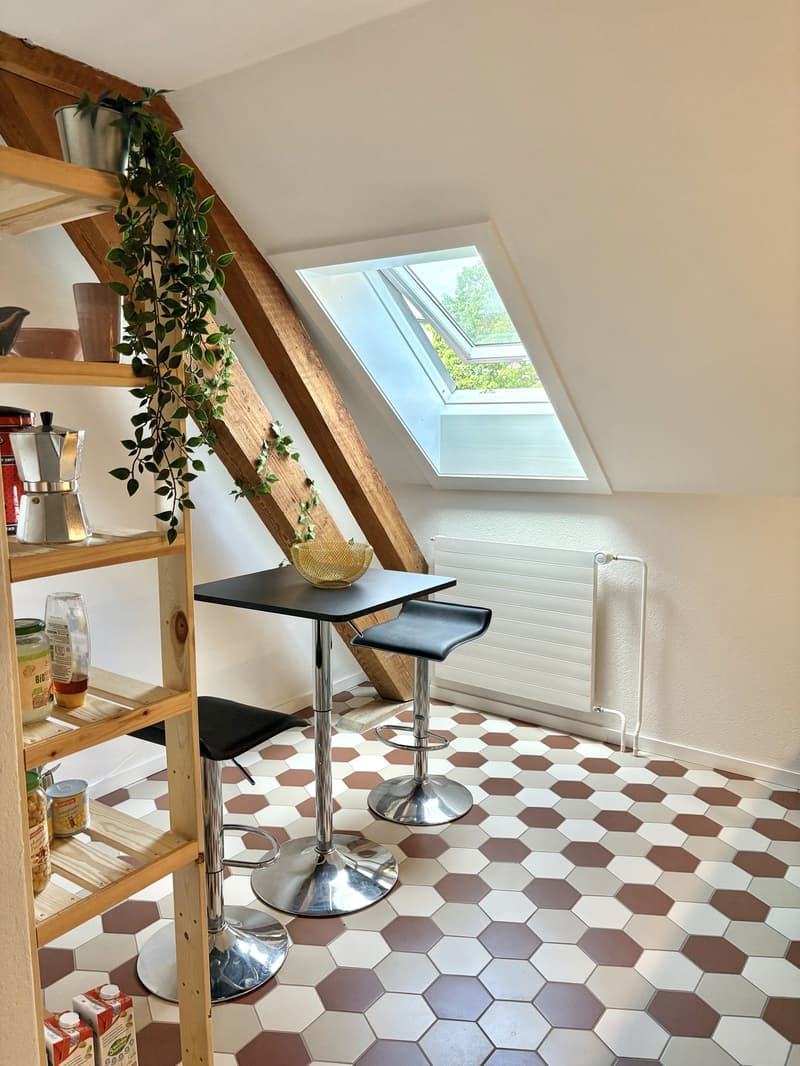2,5-Zimmer-Wohnung in Fischermätteli ab 16. Oktober (3)