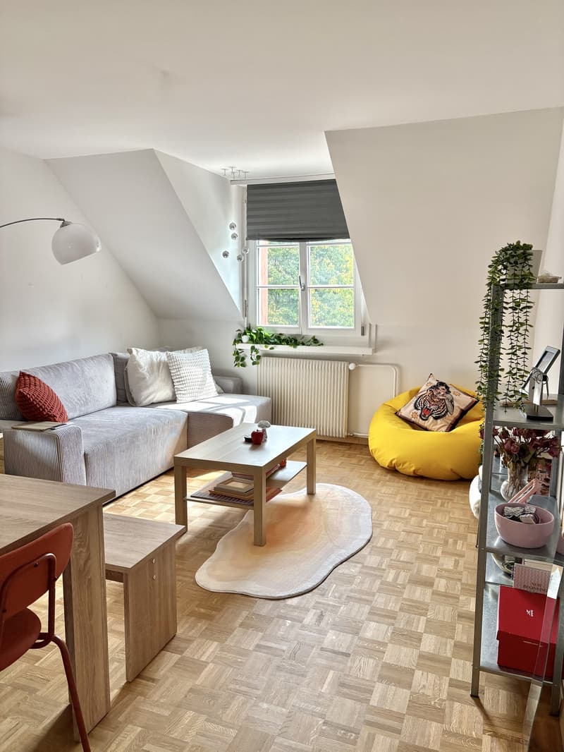 2,5-Zimmer-Wohnung in Fischermätteli ab 16. Oktober (6)