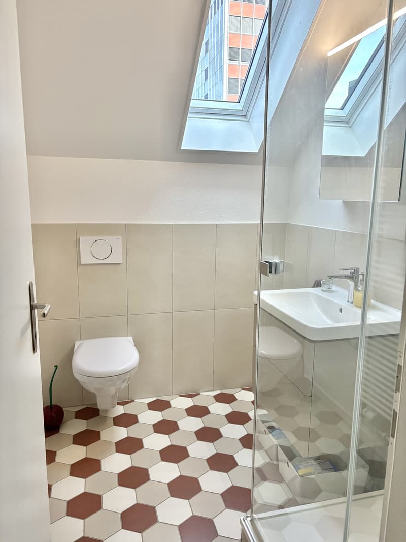 2,5-Zimmer-Wohnung in Fischermätteli ab 16. Oktober (5)
