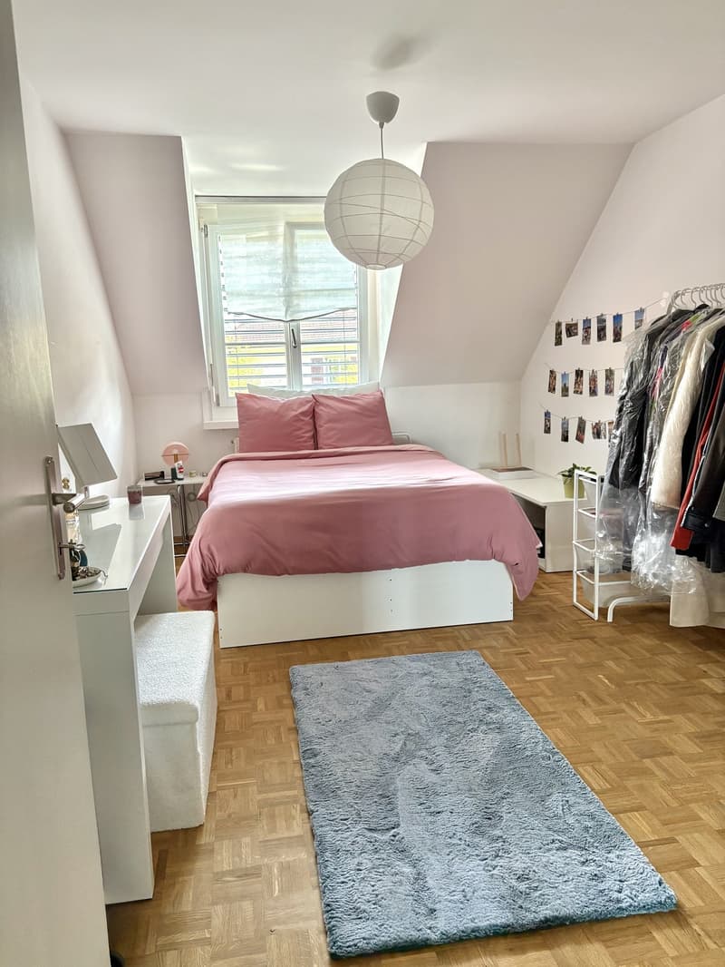 2,5-Zimmer-Wohnung in Fischermätteli ab 16. Oktober (4)