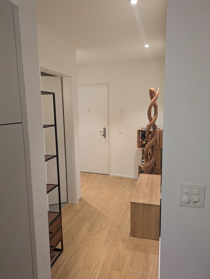 1,5 Zimmer Wohnung, hell und zentral gelegen (4)