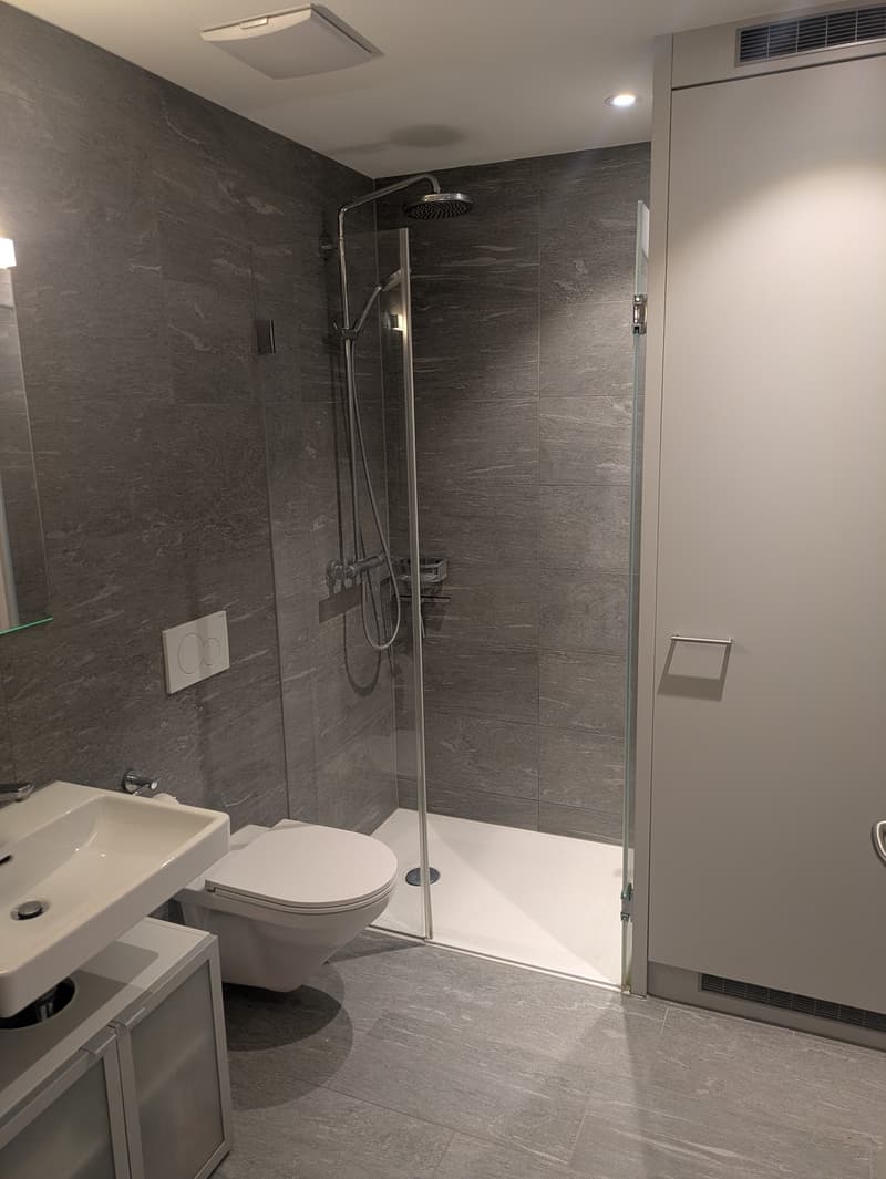1,5 Zimmer Wohnung, hell und zentral gelegen (3)