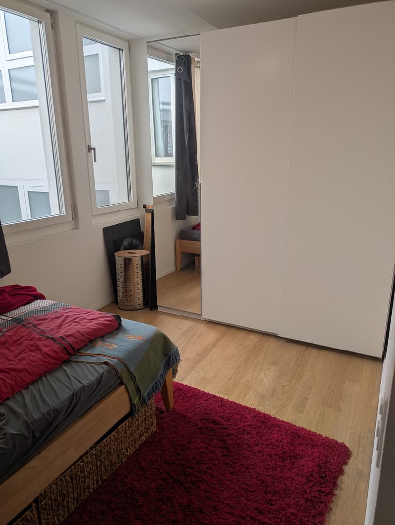 1,5 Zimmer Wohnung, hell und zentral gelegen (5)