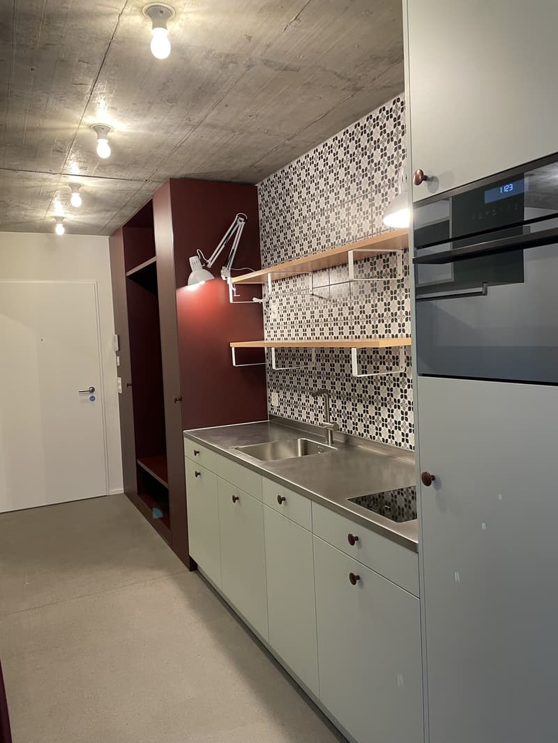 1.5 Zimmerwohnung (3)