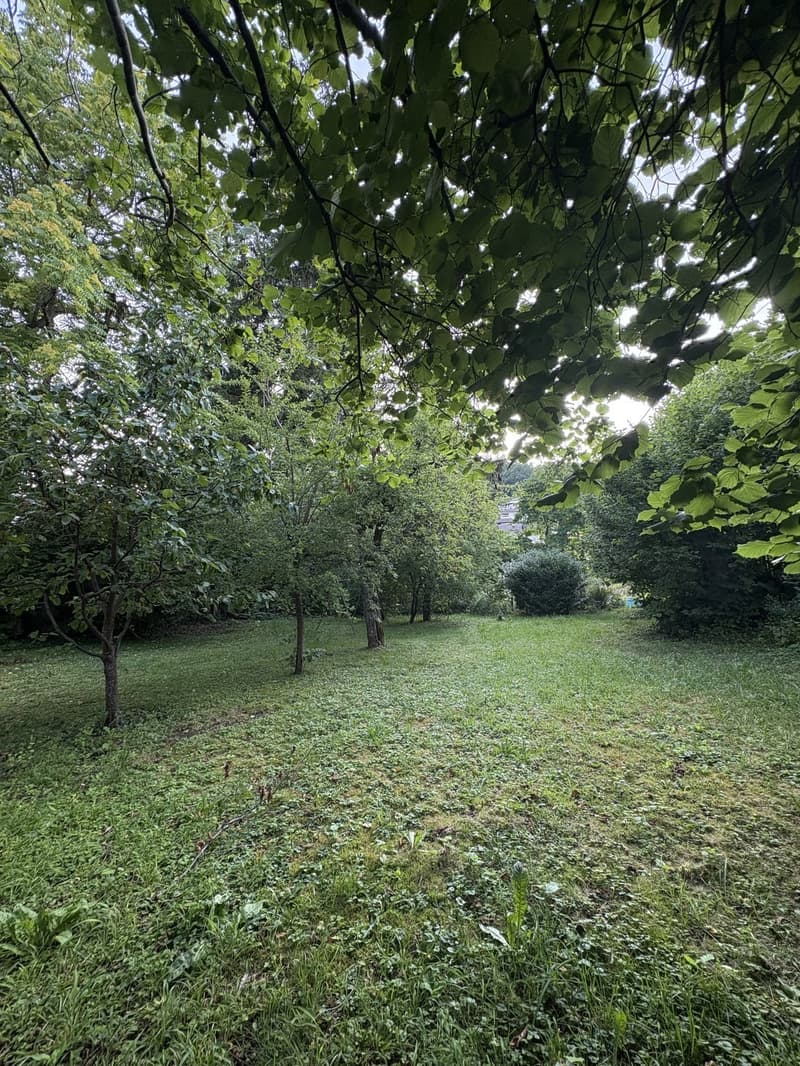 Room to sublet in Winterthur (30.09-30.11) (7)