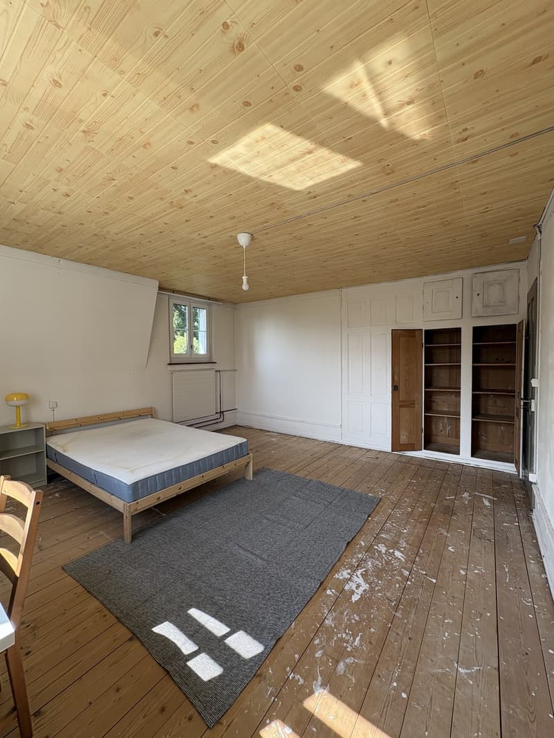 Room to sublet in Winterthur (30.09-30.11) (2)
