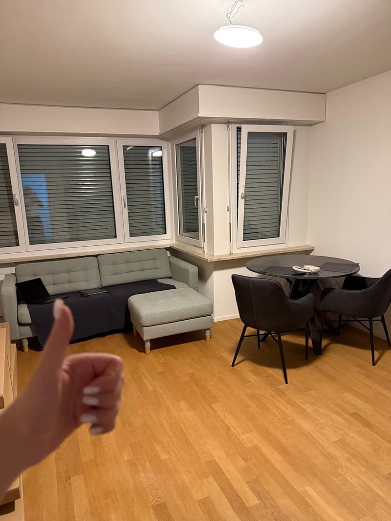 2 room apartment (2)
