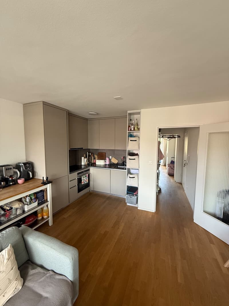 2 room apartment (3)