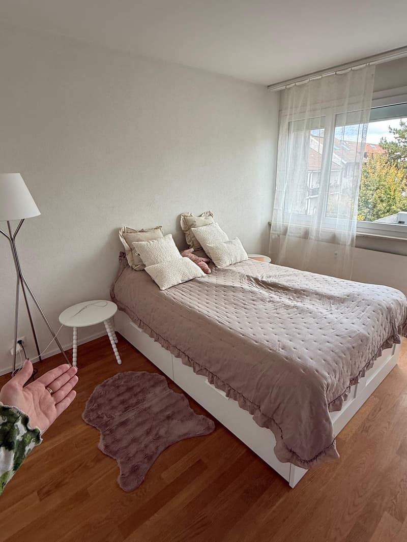 2 room apartment (4)