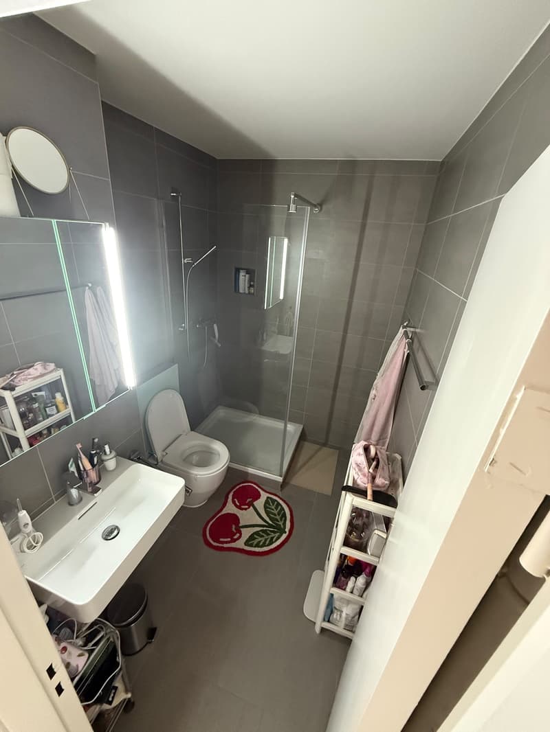 2 room apartment (7)