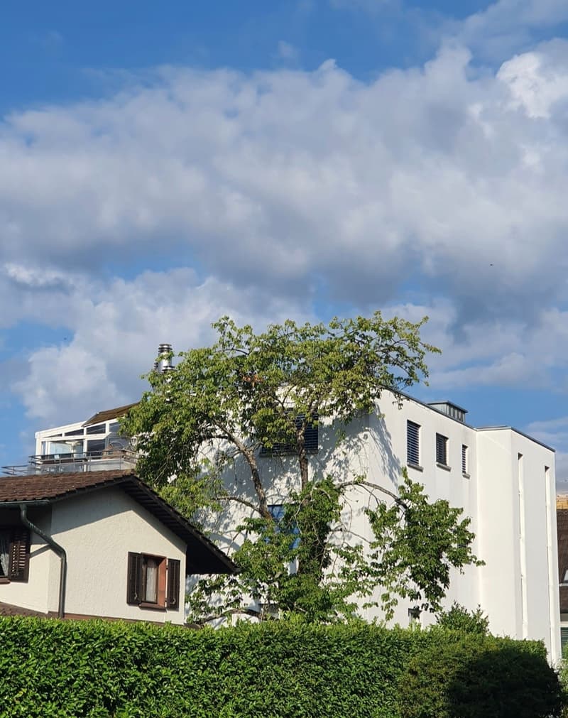 Grosse, helle 4.5-Zimmer-Dachwohnung in Wettingen (2)