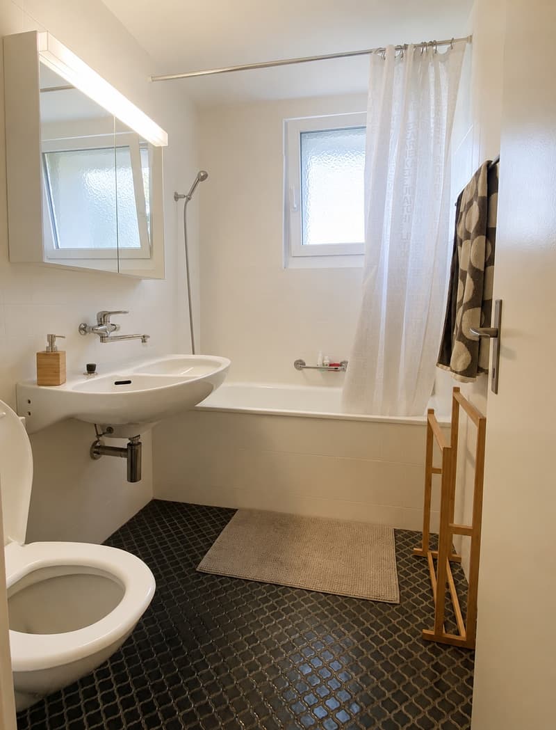 Bright Furnished Zurich Apartment for Sublet (9)