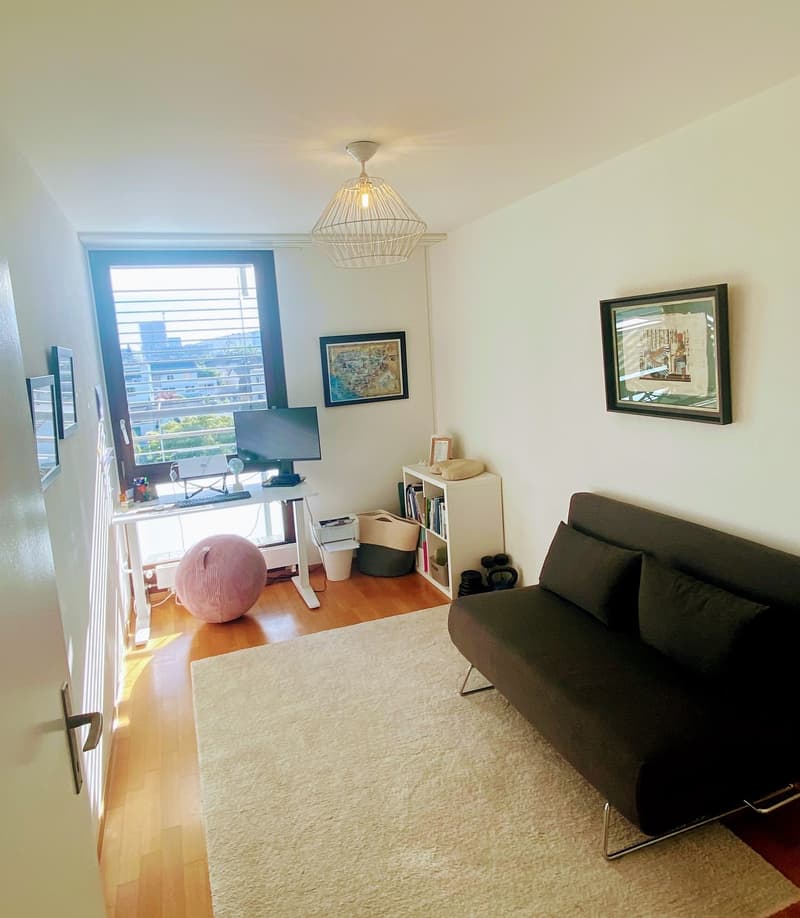 Bright Furnished Zurich Apartment for Sublet (7)