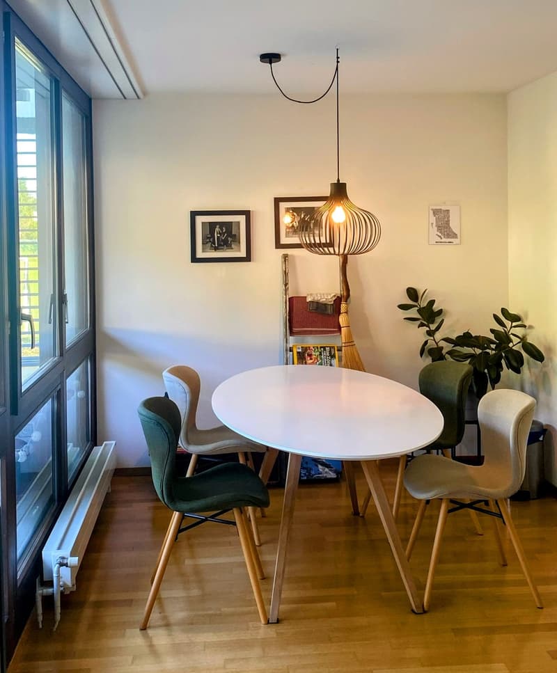 Bright Furnished Zurich Apartment for Sublet (2)