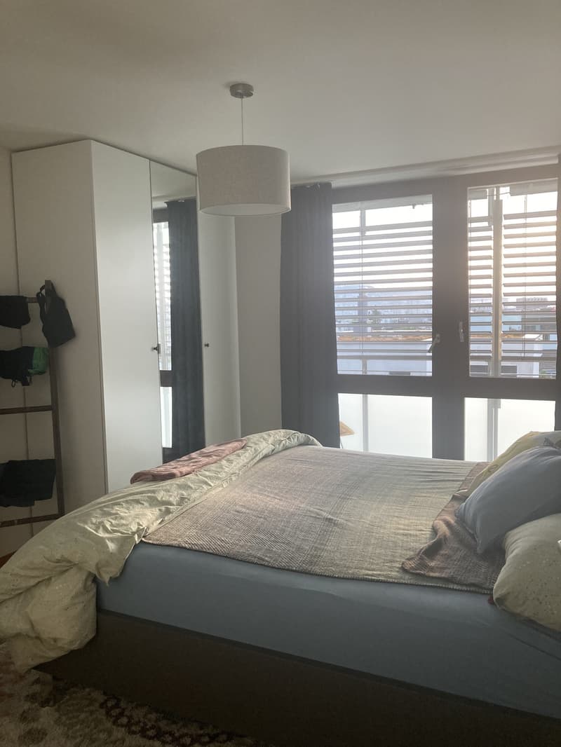 Bright Furnished Zurich Apartment for Sublet (6)