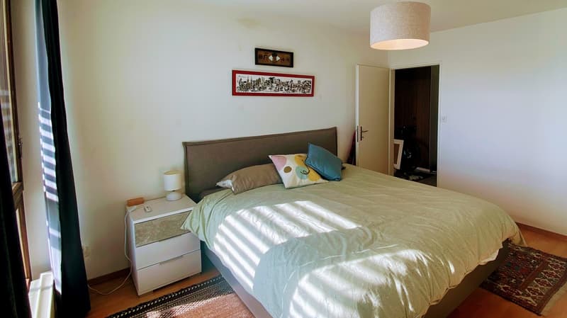 Bright Furnished Zurich Apartment for Sublet (5)