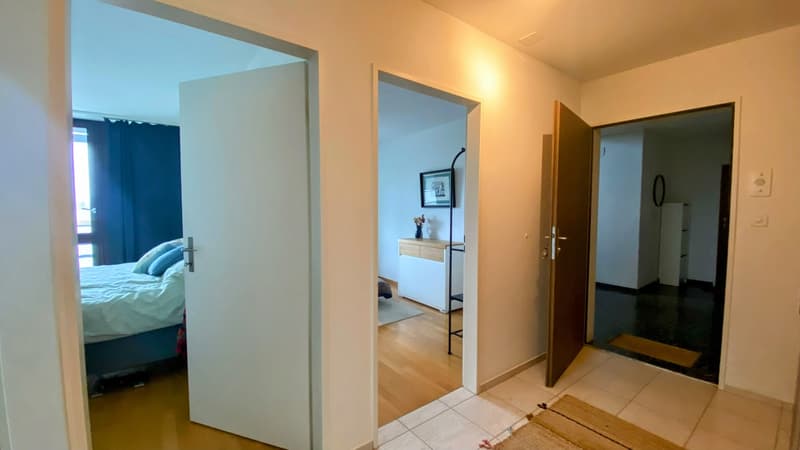 Bright Furnished Zurich Apartment for Sublet (8)