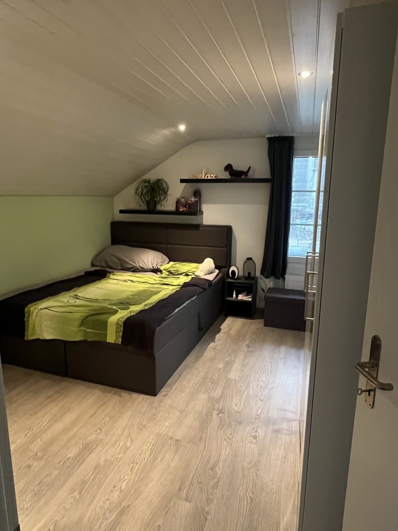 Nachmieter gesucht gemütliche 3-Zimmer-Wohnung mit viel Charme (3)
