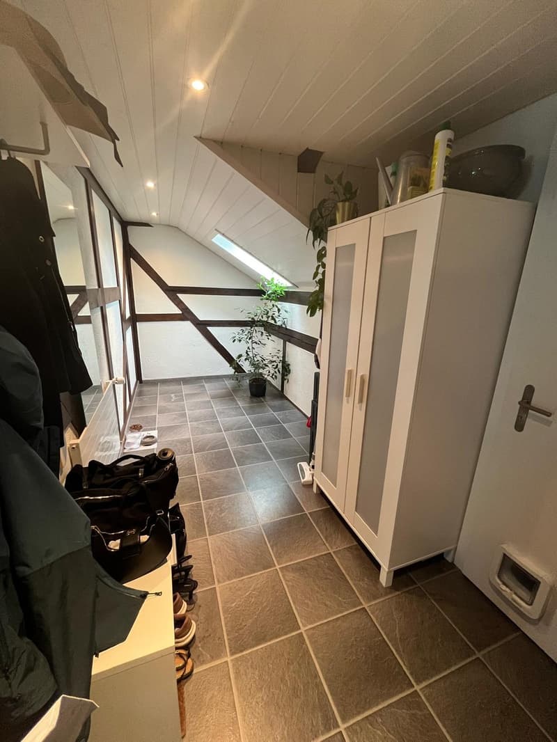 Nachmieter gesucht gemütliche 3-Zimmer-Wohnung mit viel Charme (5)