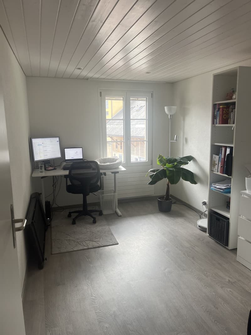 Nachmieter gesucht gemütliche 3-Zimmer-Wohnung mit viel Charme (4)