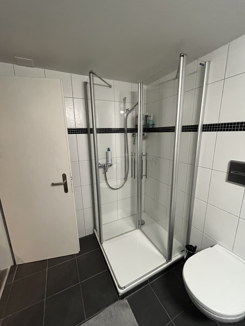 Nachmieter gesucht gemütliche 3-Zimmer-Wohnung mit viel Charme (6)