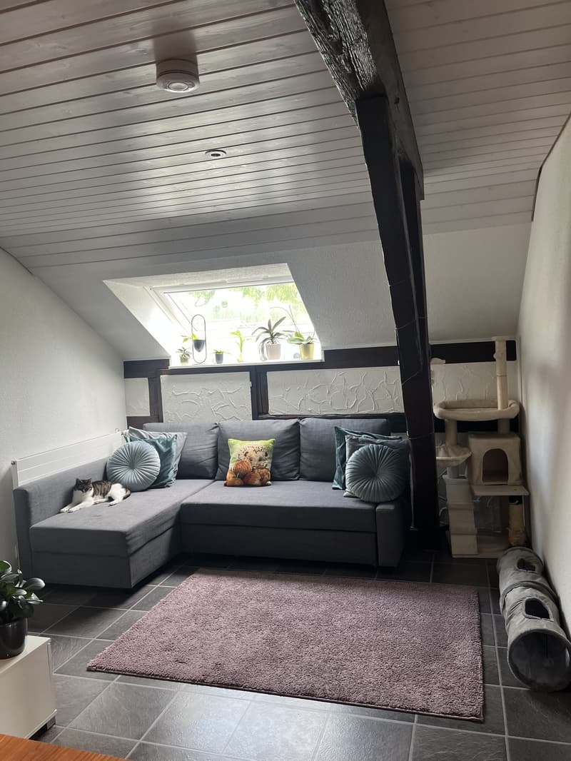 Nachmieter gesucht gemütliche 3-Zimmer-Wohnung mit viel Charme (2)