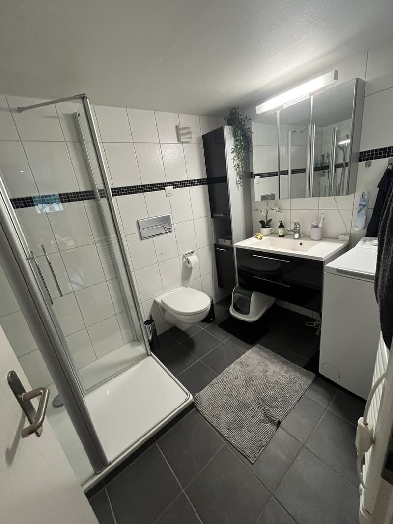 Nachmieter gesucht gemütliche 3-Zimmer-Wohnung mit viel Charme (7)