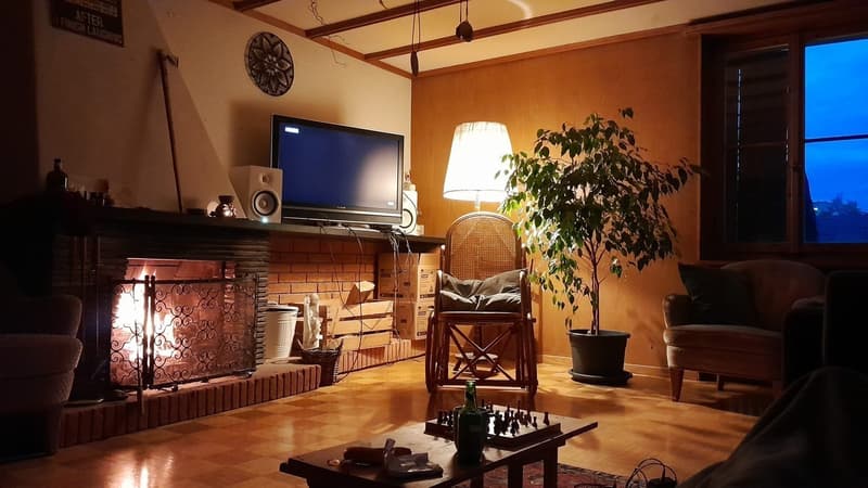 Gemütliches Zimmer in 4er WG in einer 8.5-Zimmer-Wohnung in Zürich-Höngg (befristet mit Verlängerungsoption) (3)