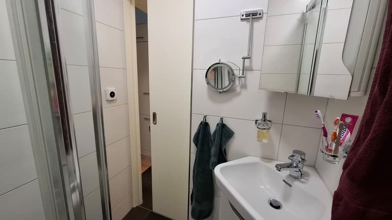 1 ½ rooms apartment, 8006 Zürich (8)