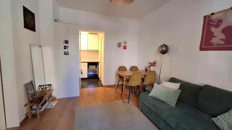 1 ½ rooms apartment, 8006 Zürich (3)