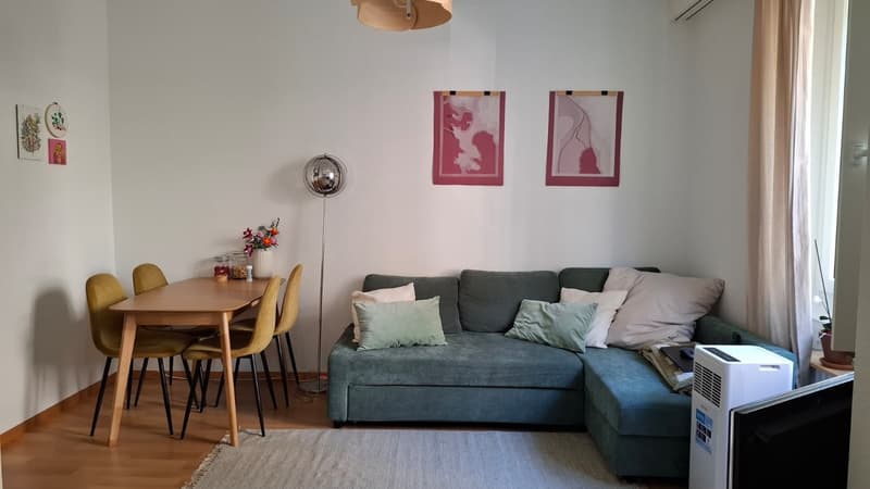 1 ½ rooms apartment, 8006 Zürich (1)