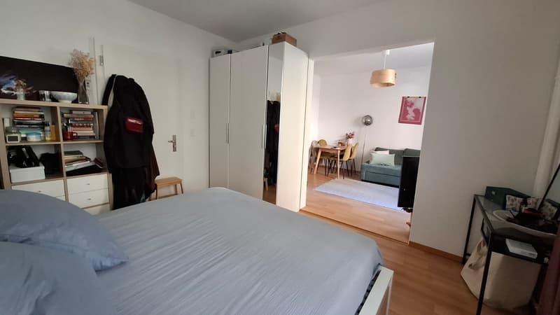 1 ½ rooms apartment, 8006 Zürich (11)