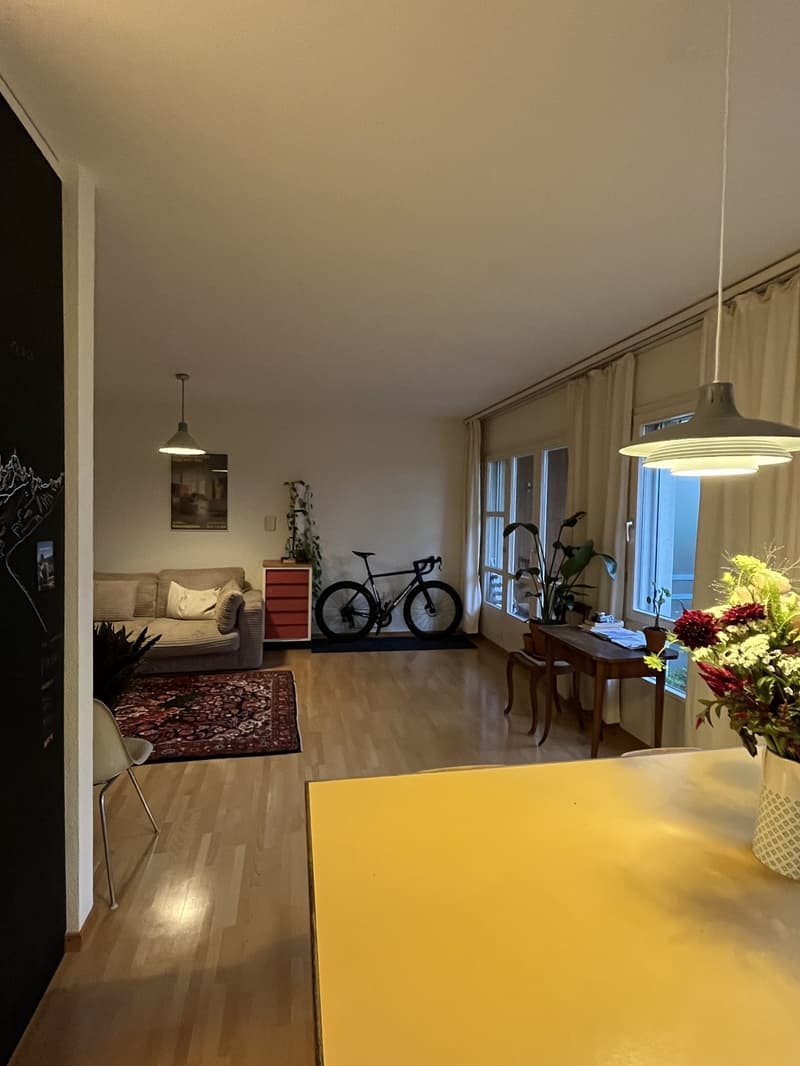 Ruhige 2.5-Zimmer-Erdgeschosswohnung mit privatem Sitzplatz und Garten  befristet im September (3)