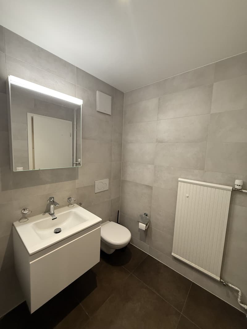Wunderschöne, ruhige 2.5-Zimmer-Wohnung in Wiedikon (13)
