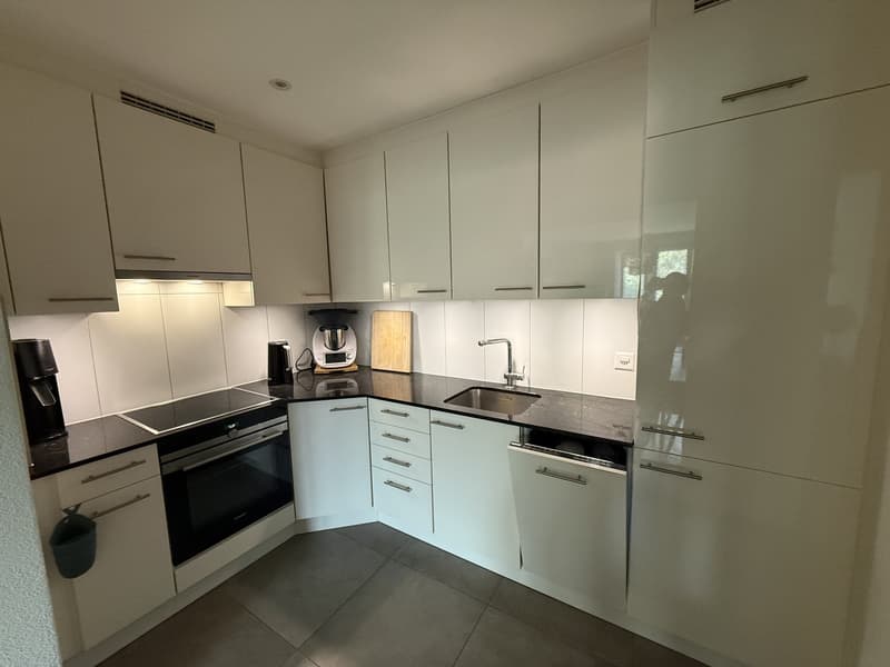 Wunderschöne, ruhige 2.5-Zimmer-Wohnung in Wiedikon (3)