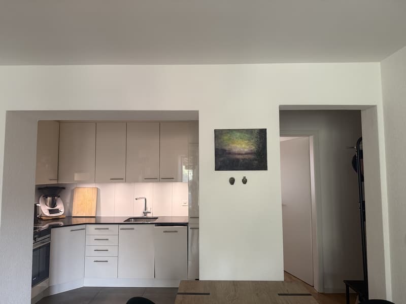 Wunderschöne, ruhige 2.5-Zimmer-Wohnung in Wiedikon (6)
