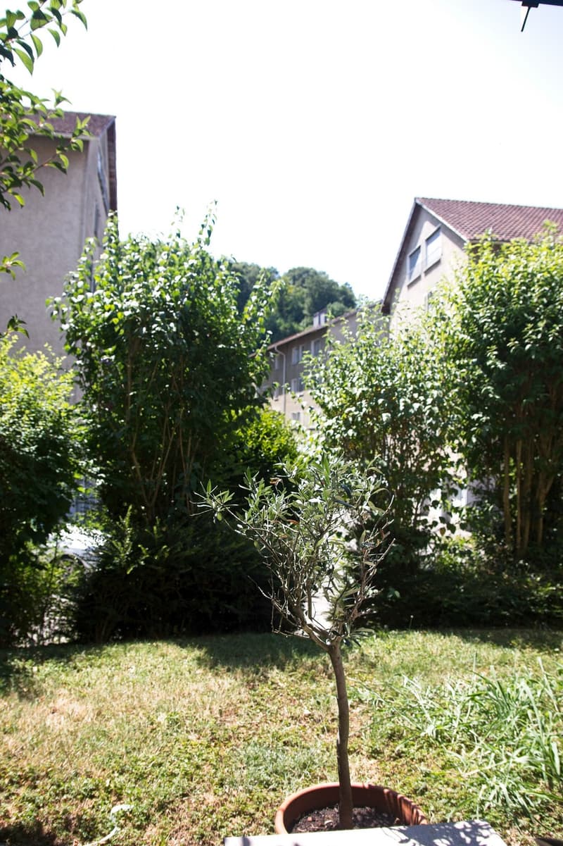 Gemütliche 3.5 Zimmer Wohnung in Wülflingen (6)