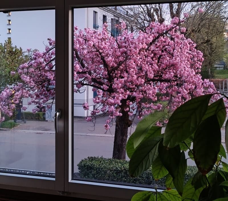 3.5 Zimmerwohnung Altstetten (7)