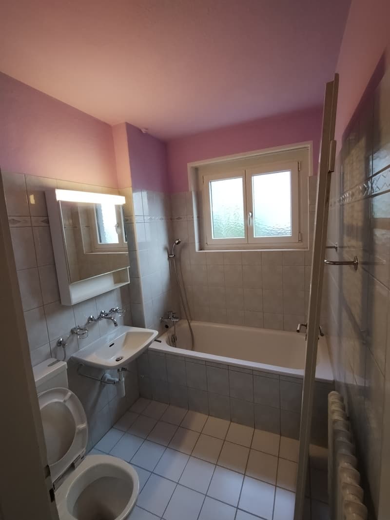 3.5 Zimmerwohnung Altstetten (3)