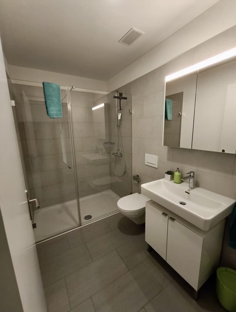 Möblierte 4.5-Zimmer-Wohnung in Bülach (20min von Zürich HB) (3)