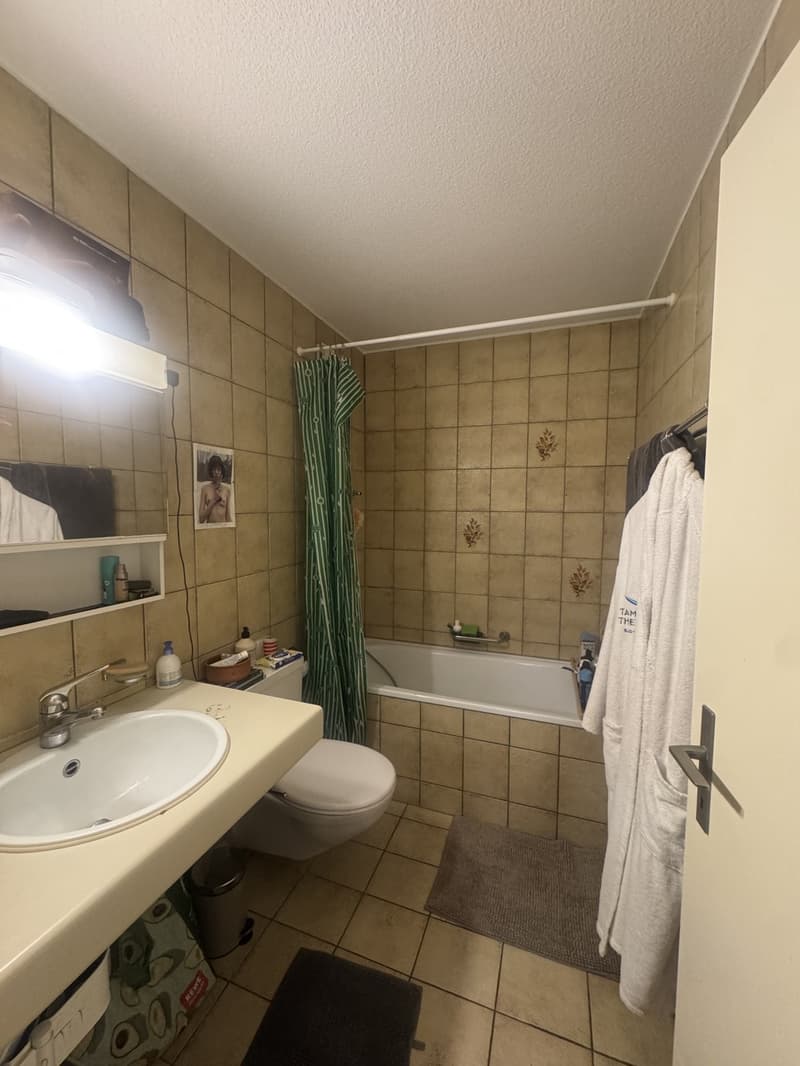 2.5 Zimmer-Wohnung Zürich Limmatplatz Befristet (5)