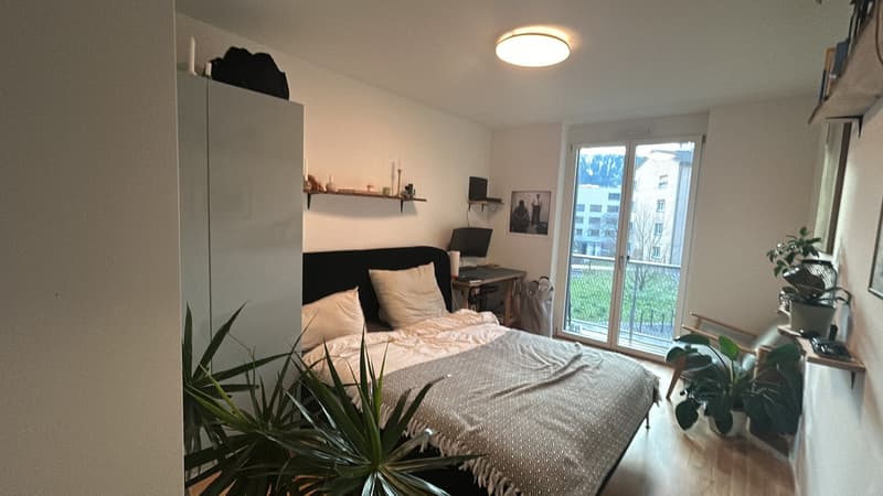 Room in a Bright Wiedikon Apartment (Zürich)  Available asap (7)