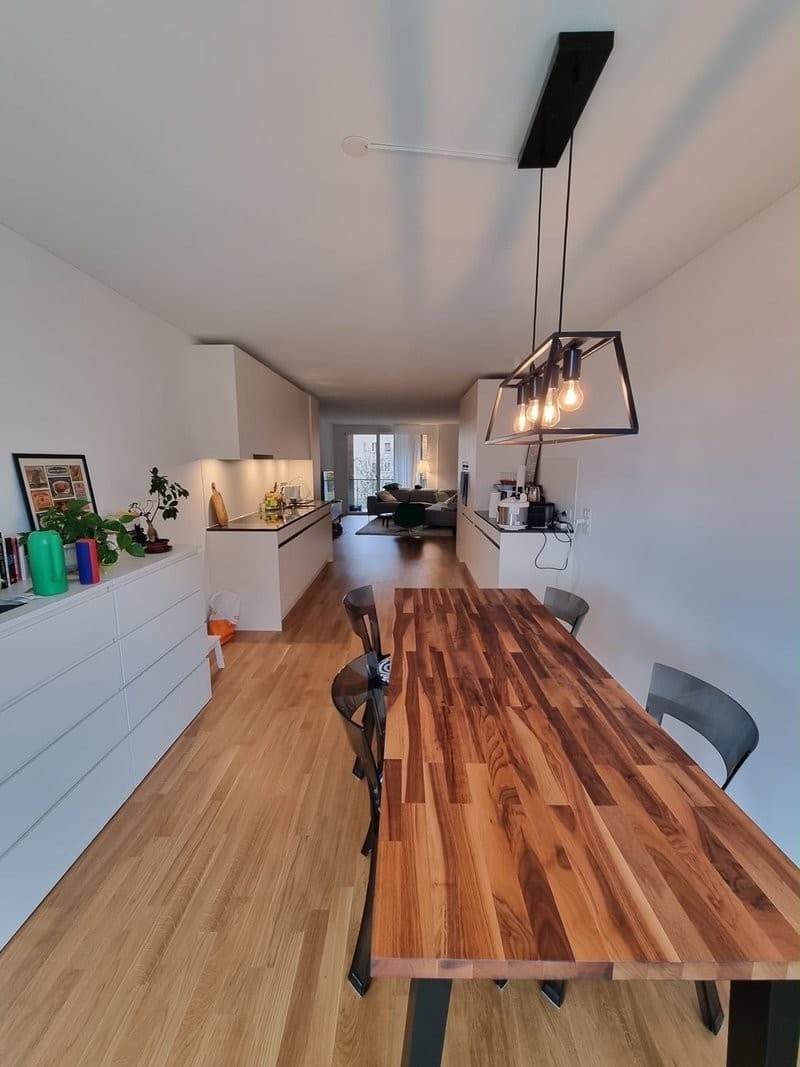 Room in a Bright Wiedikon Apartment (Zürich)  Available asap (2)