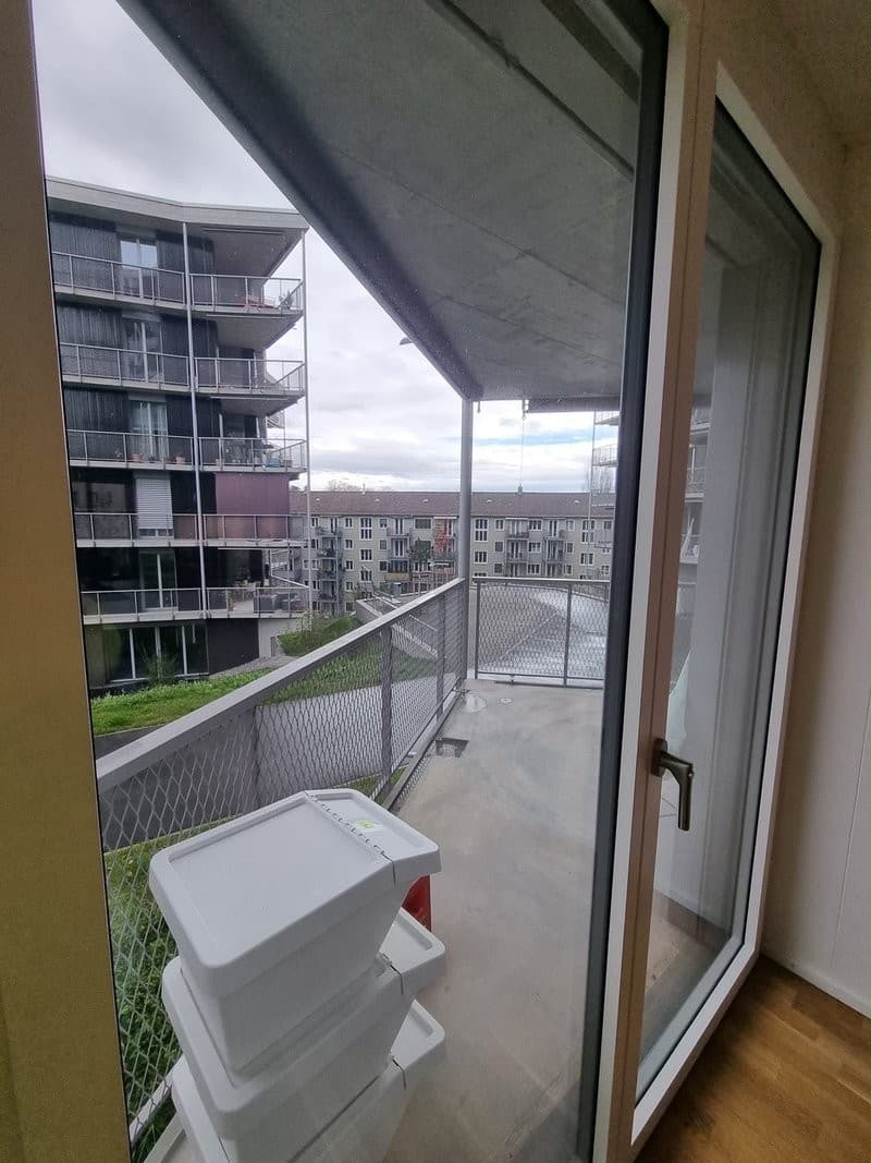 Room in a Bright Wiedikon Apartment (Zürich)  Available asap (5)