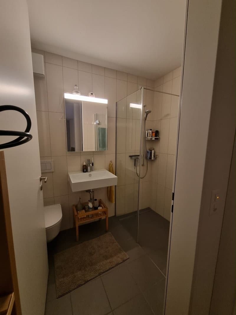 Room in a Bright Wiedikon Apartment (Zürich)  Available asap (3)